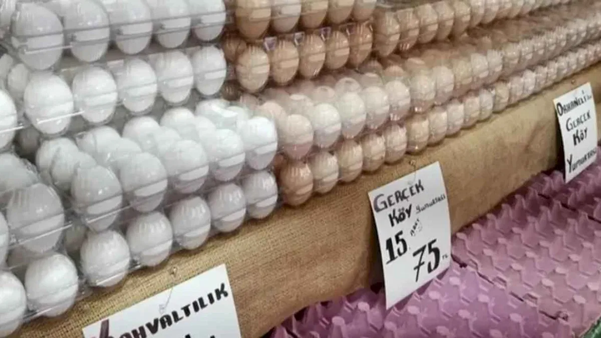 Pazarlarda köy yumurtasına yoğun ilgi