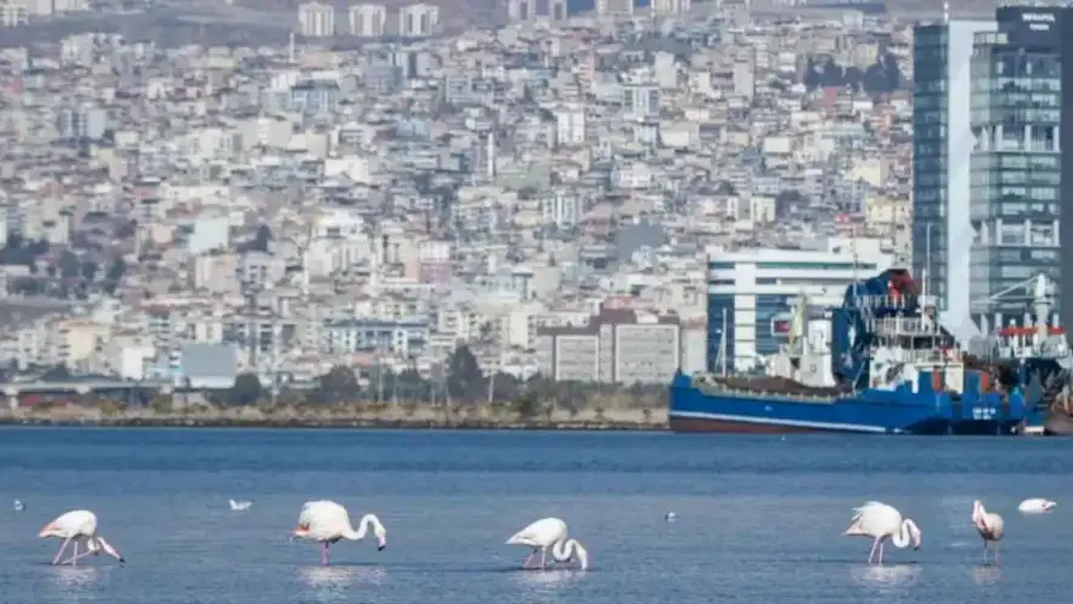 İzmir 'iklim nötr' hedeflerini dünyaya tanıttı