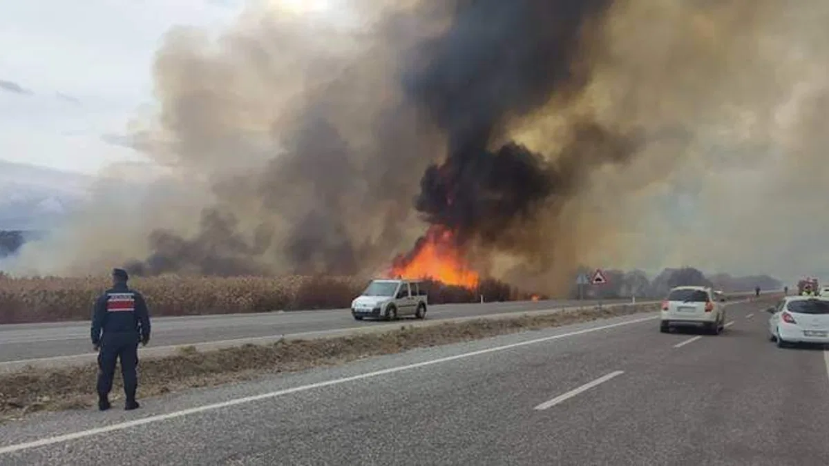 Beyşehir Gölü kıyısında sazlık alanda çıkan yangına müdahale ediliyor