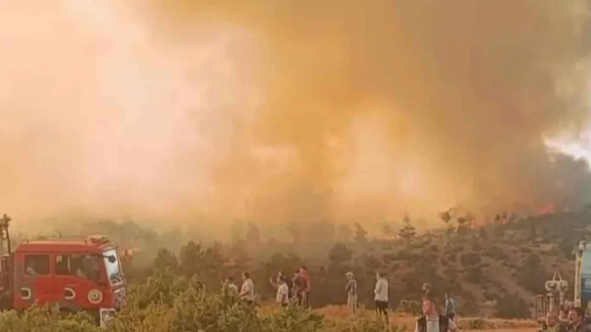 Orman yangınlarında 168 şüpheliden 39'u tutuklandı