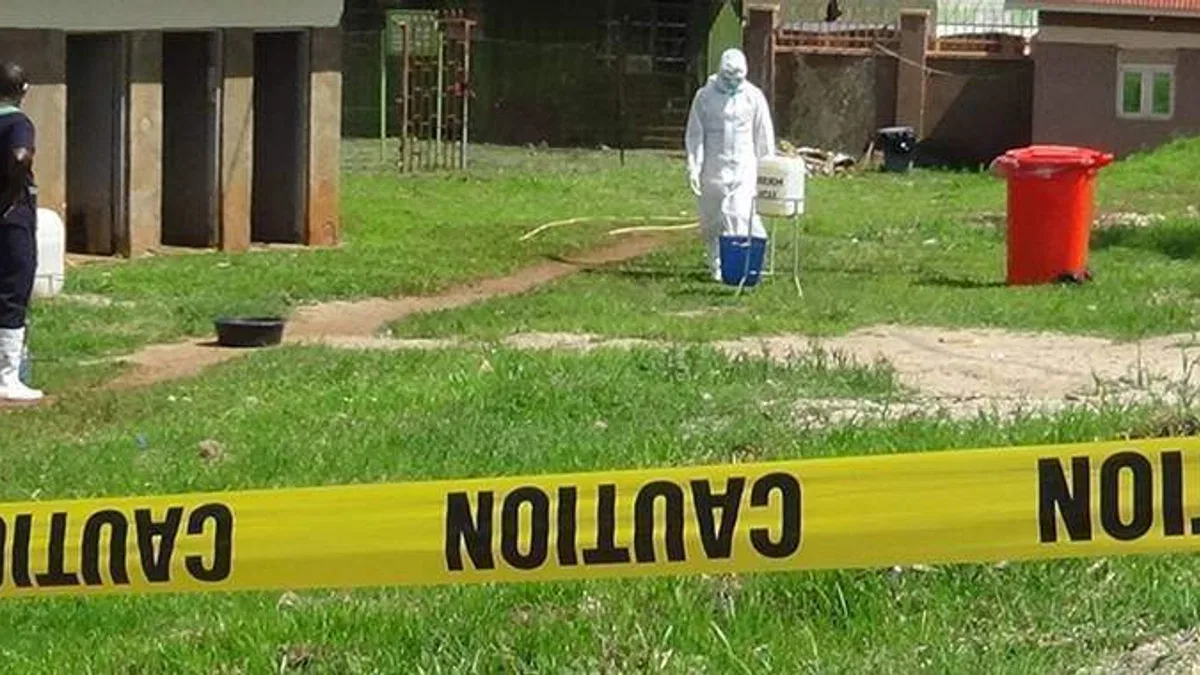 Afrika ülkeleri, Ebola salgını nedeniyle acil toplanıyor
