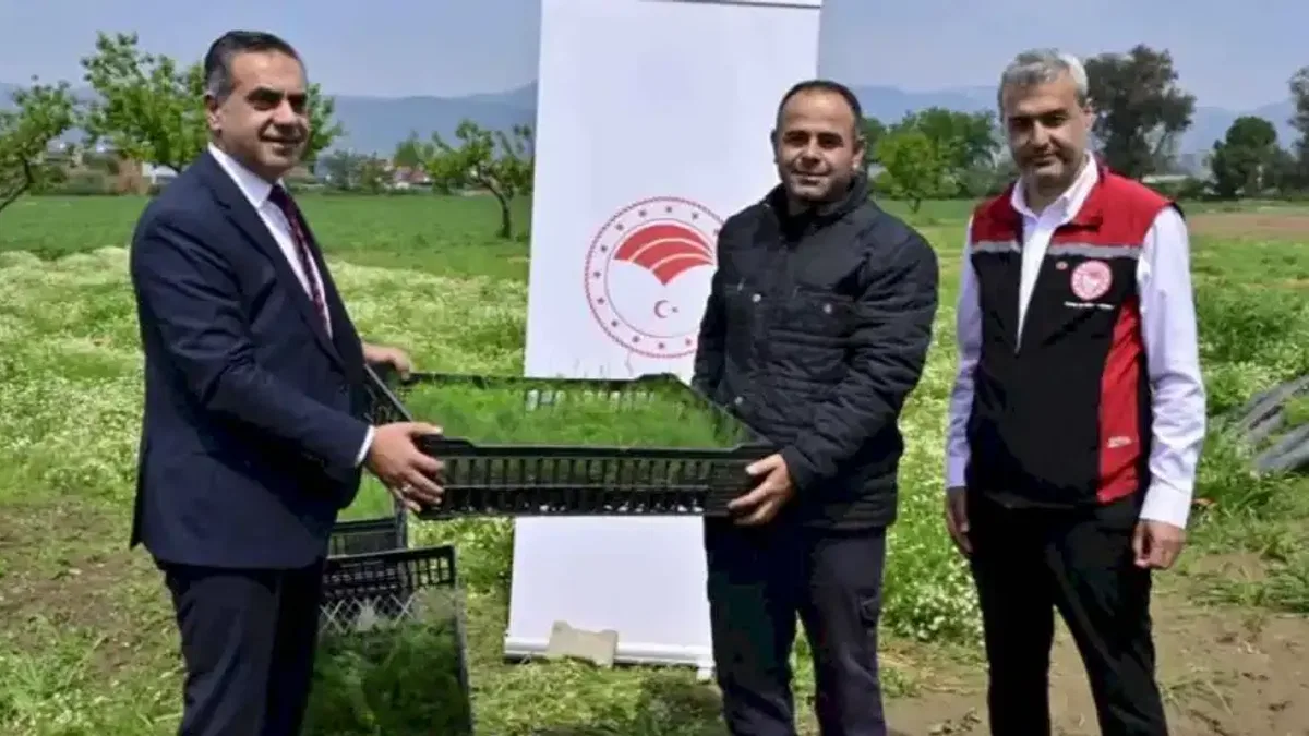 İzmir'de 17 bin fide üreticilere teslim edildi