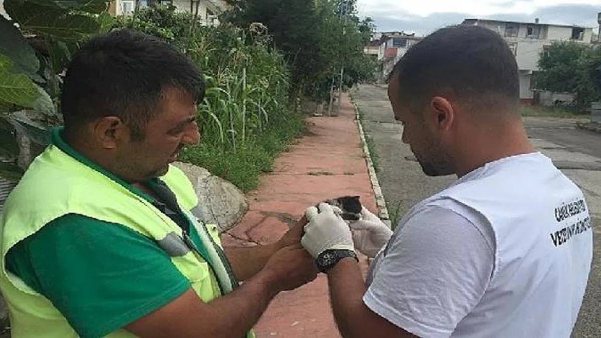 Canik Belediyesi Can Dostların Yanında