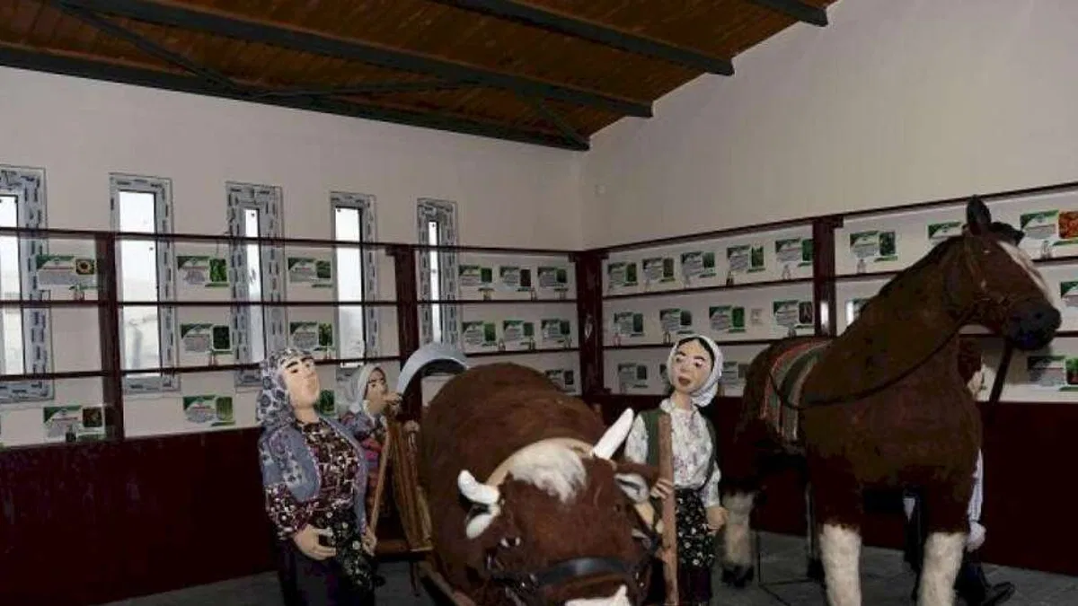 Kayseri Büyükşehir'den Doğal Üretim Bahçesi yatırımı