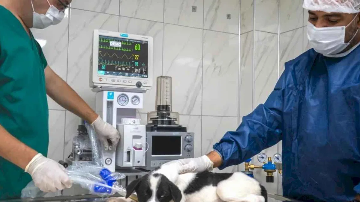 Malatya'da hayvan hastanesi hizmete girdi
