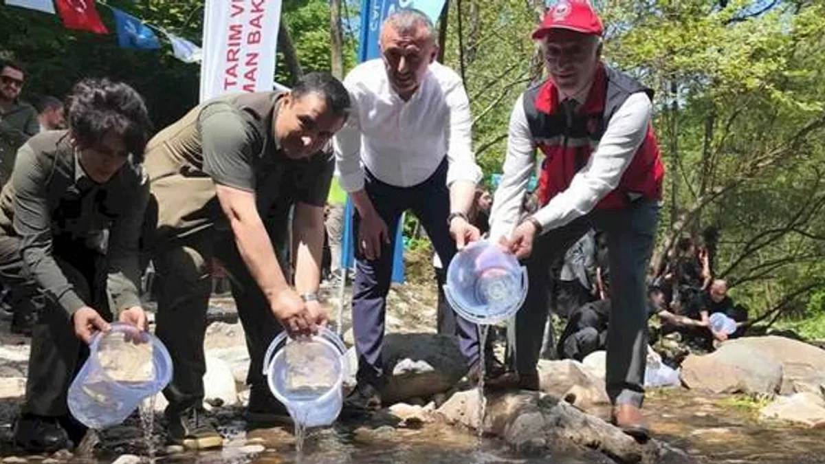 Kocaeli Kirazdere'ye 2 yılda 16 bin alabalık salındı