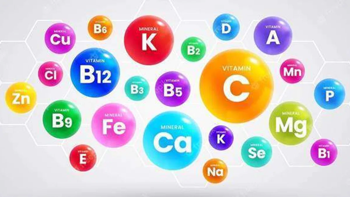 Vitamin nedir? faydaları nelerdir?