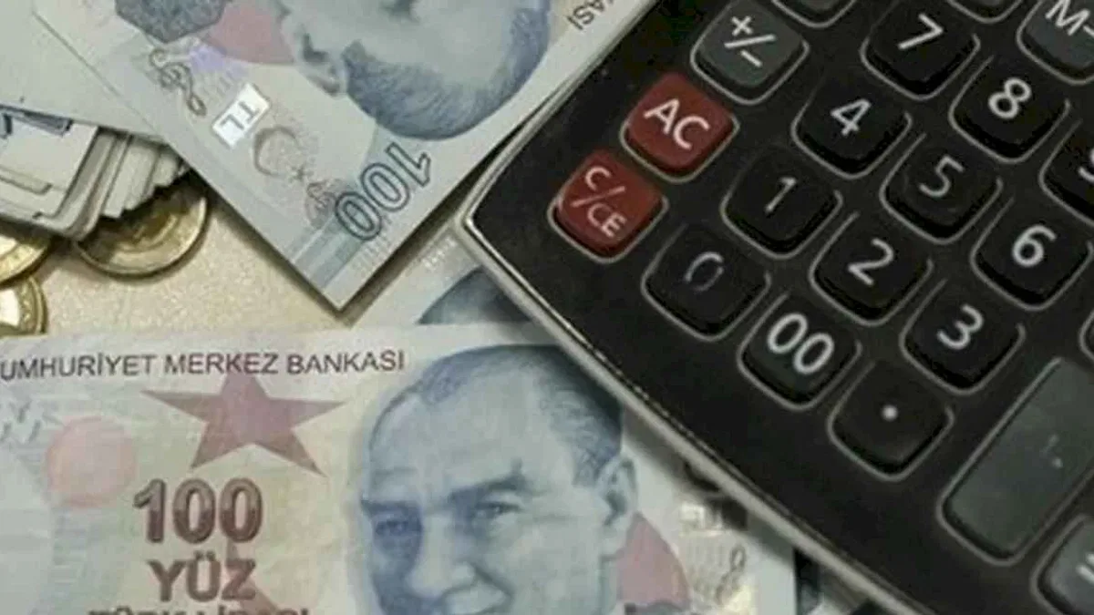 Maliye'den yeni uygulamalar... Ba-Bs formları tarih oldu