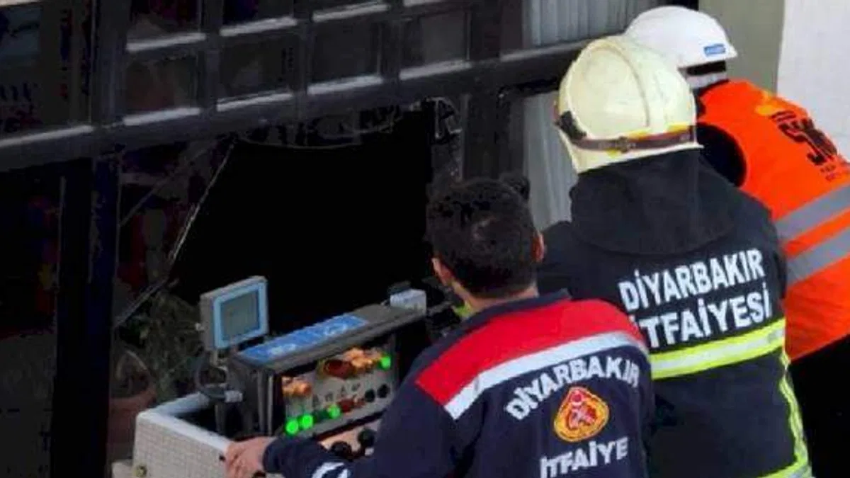 Diyarbakır'da yıkım durduruldu, kediler kurtarıldı!