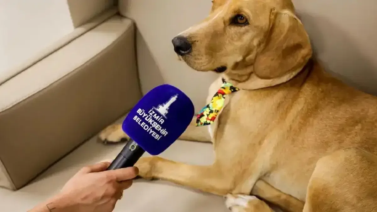 İzmir'de patili dost Bal, merkezin neşesi oldu