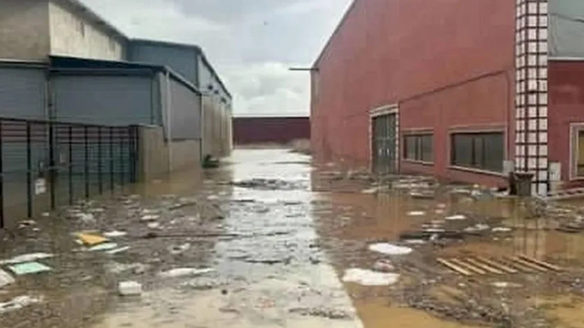 Adana ve Mersin'deki sel felaketine SYDV'den 33,5 milyon TL kaynak
