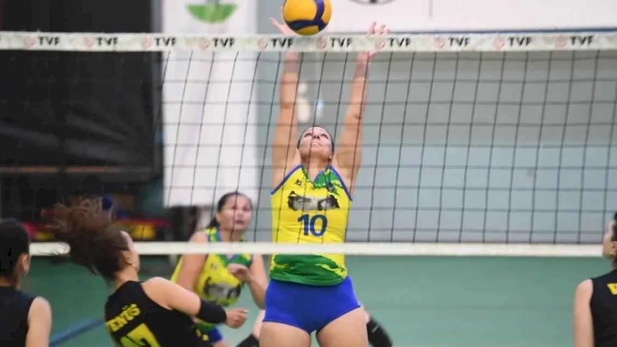 Bursa Osmangazi'de Türkiye Veteran Voleybol Turnuvası başladı