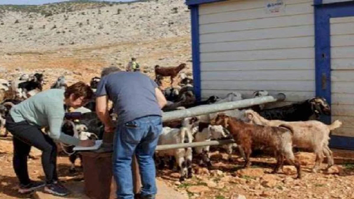 Dokuz Eylül ekibi deprem atıklarının bertarafı için sahada
