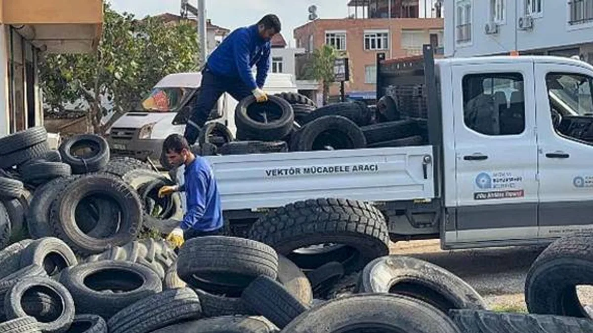 Sineklerin üreme alanı lastikler toplanıyor