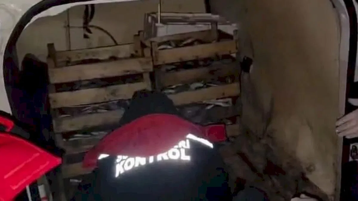 İzmir'de yasadışı avcılığa karşı sıkı önlem