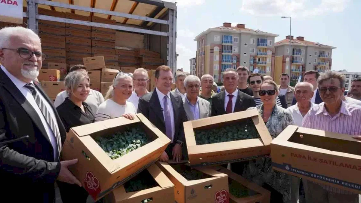 İstanbul'dan çiftçilere 5 yılda 70 milyon fide desteği