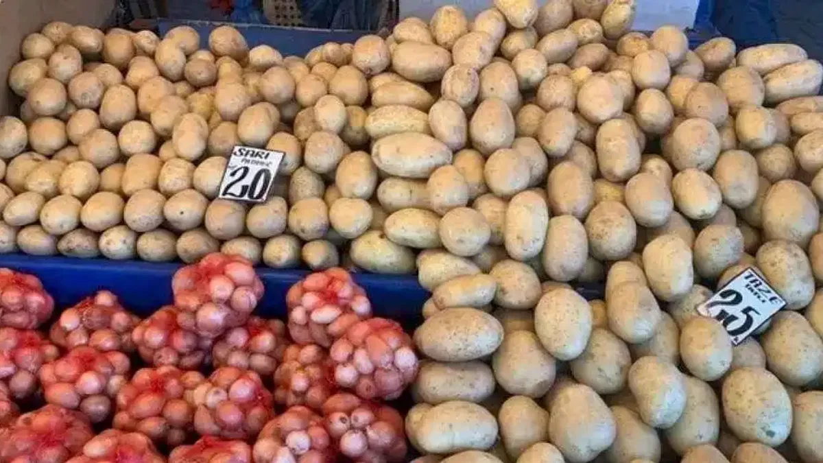 Bursa'da hal ve pazar arasında ne kadar fark var?