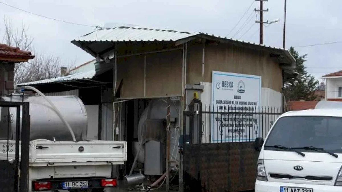Çiğ sütte Pazaryeri’nden ülke ekonomisine milyonluk katkı