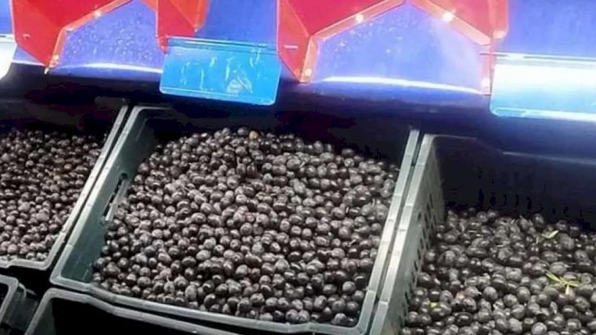 Manisa'da makine desteği yüzleri güldürüyor