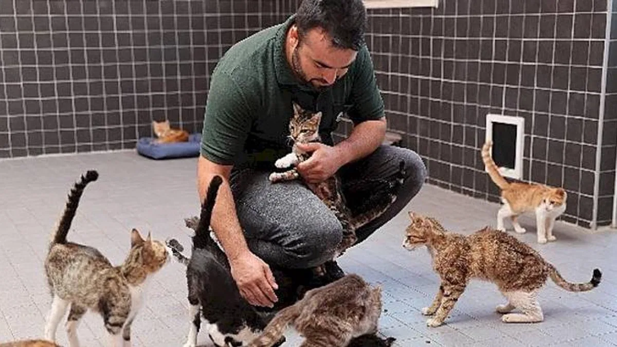 Can dostlar yeni yuvalarında mutlu
