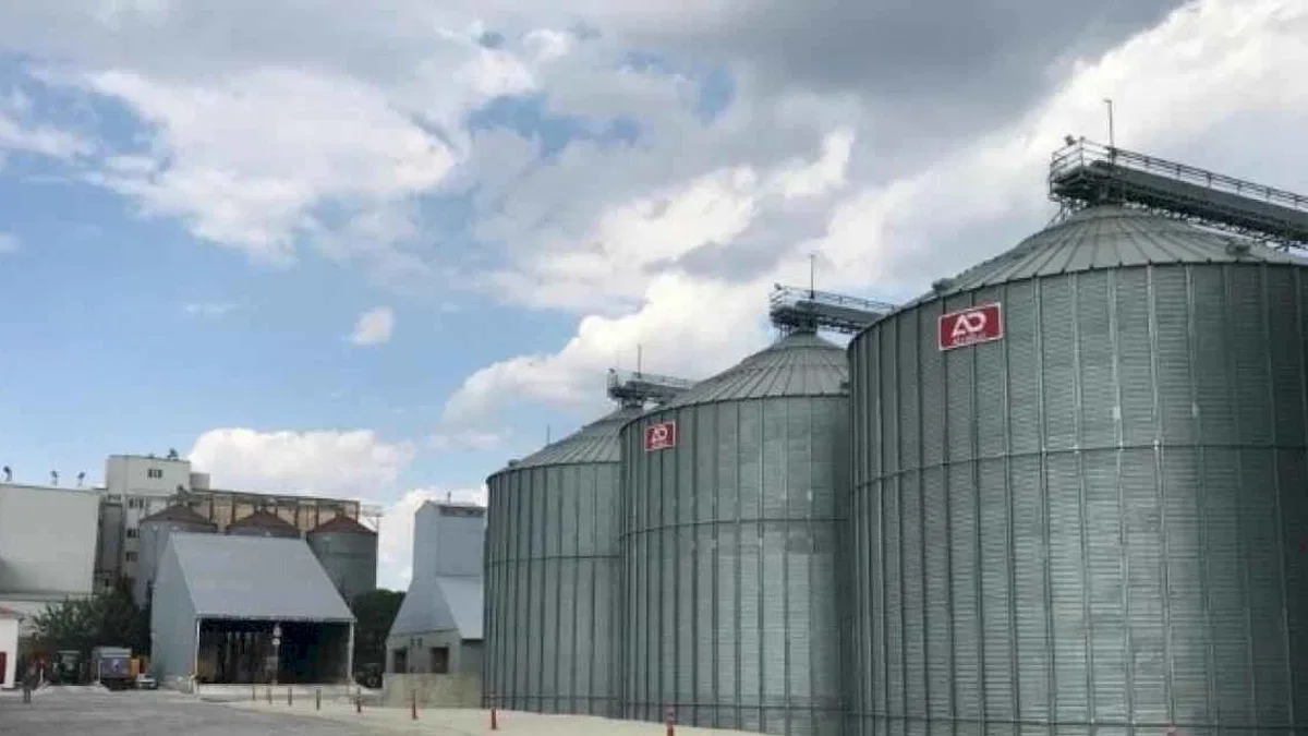 TMO randevu sistemini açtı