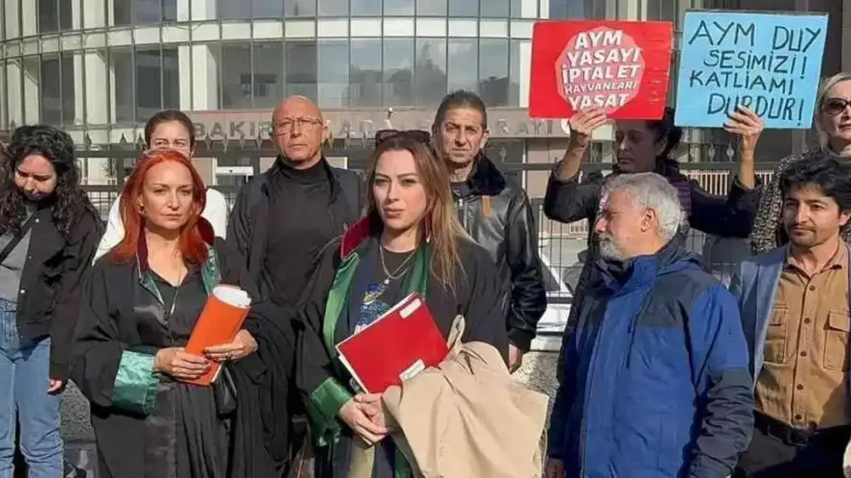 İstanbul Bakırköy'de köpeğe istismar davası sonuçlandı!