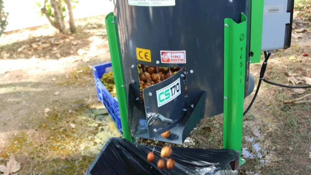 Antalya'da Üreticilere Modern Ceviz Soyma Desteği
