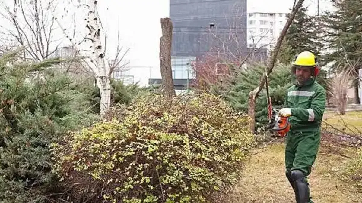 Çankaya'da ağaçlar bahara hazırlanıyor: Parklarda budama çalışmaları devam ediyor