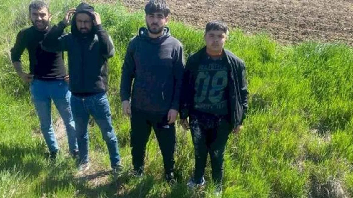 Edirne'de 4 göçmen yakalandı
