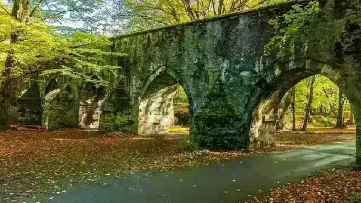 İstanbul'da ormanlara giriş yasaklandı