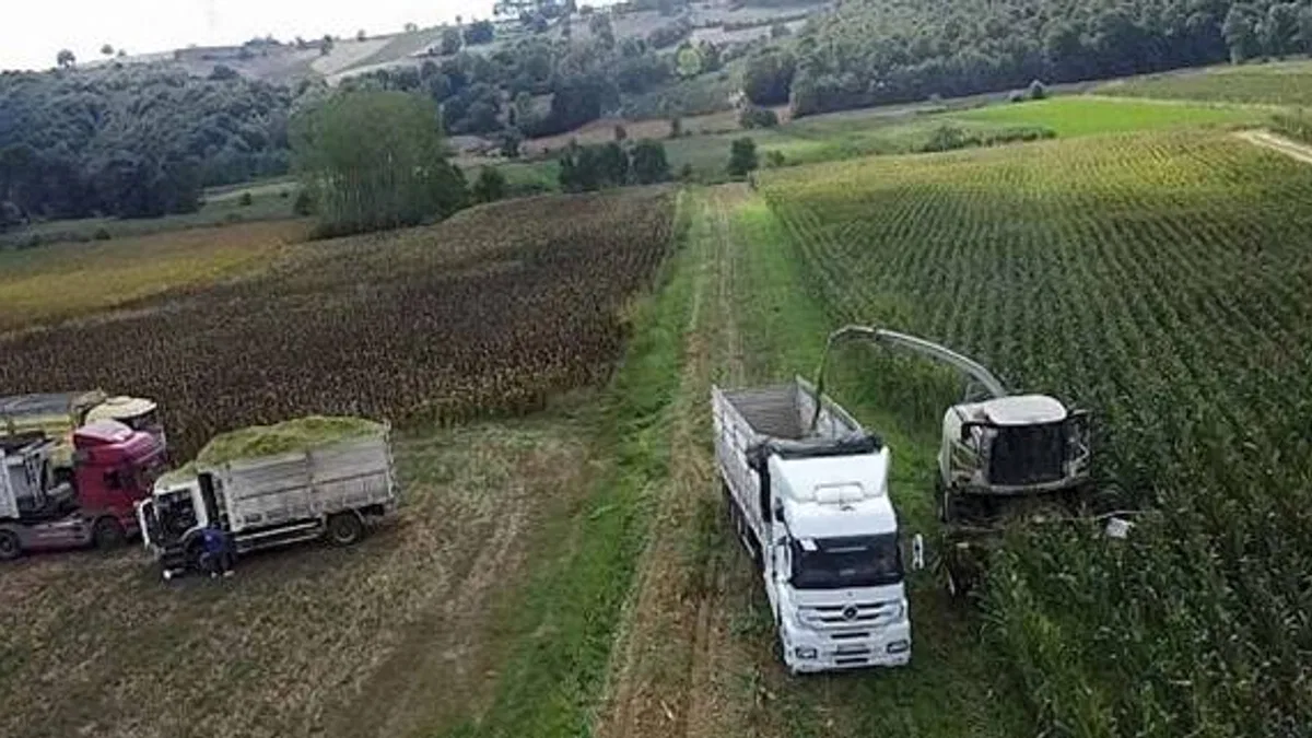 Büyükşehir destekledi, üreticinin yüzü güldü