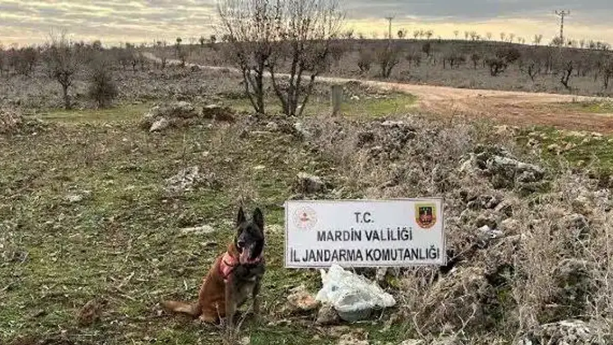 Dargeçit'te 25 kg tuzaklanmış patlayıcı ele geçirildi