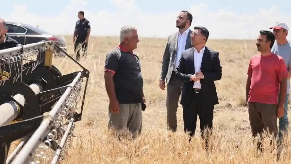Nevşehir'de hasat zamanı