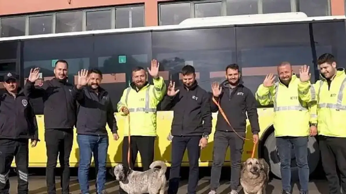 İETT'nin patili dostlar ailesi büyüyor