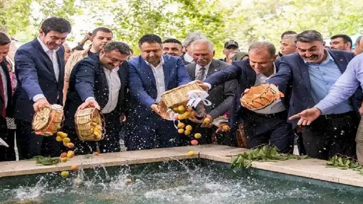 Kayısı Festivali ekonomiye katkı sağlıyor