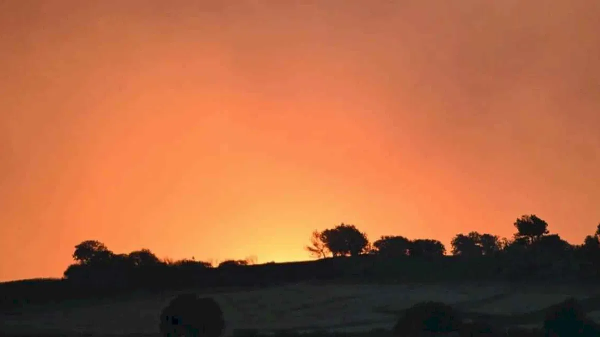 Çanakkale Dardanos yangını büyük ölçüde kontrol altına alındı