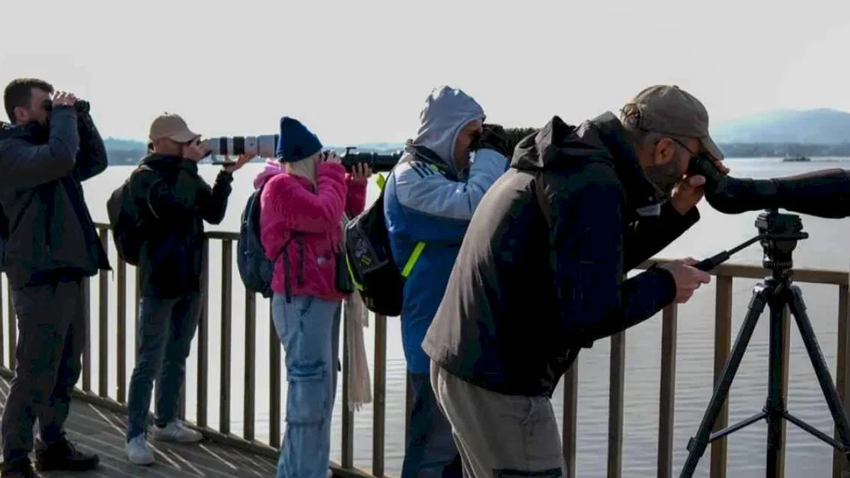 Dünya Sulak Alanlar Günü, 'Flamingo Şenliği' ile kutlandı