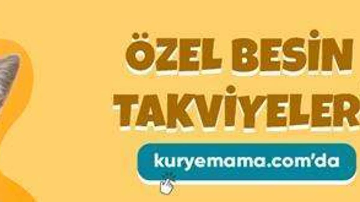 Proplan Yavru Kedi ve Köpek Mamasını Kampanyalı İndirimli Fiyatlar Sizi Bekliyor
