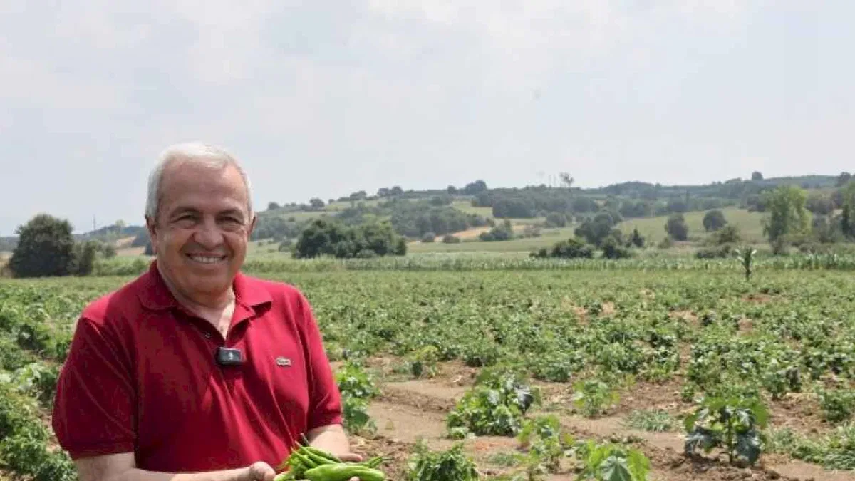 Bursa'da Nilüfer tarımsal üretimde