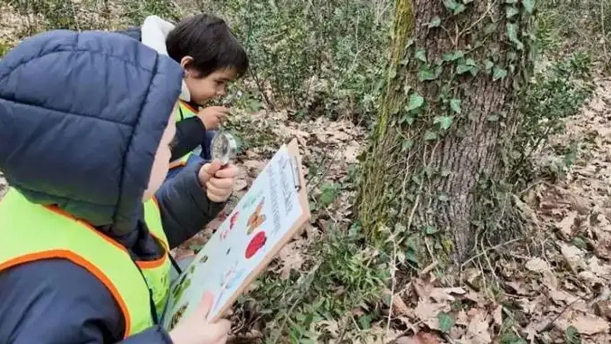 Lokomotif’in minikleri Ormanya’da keşfetti