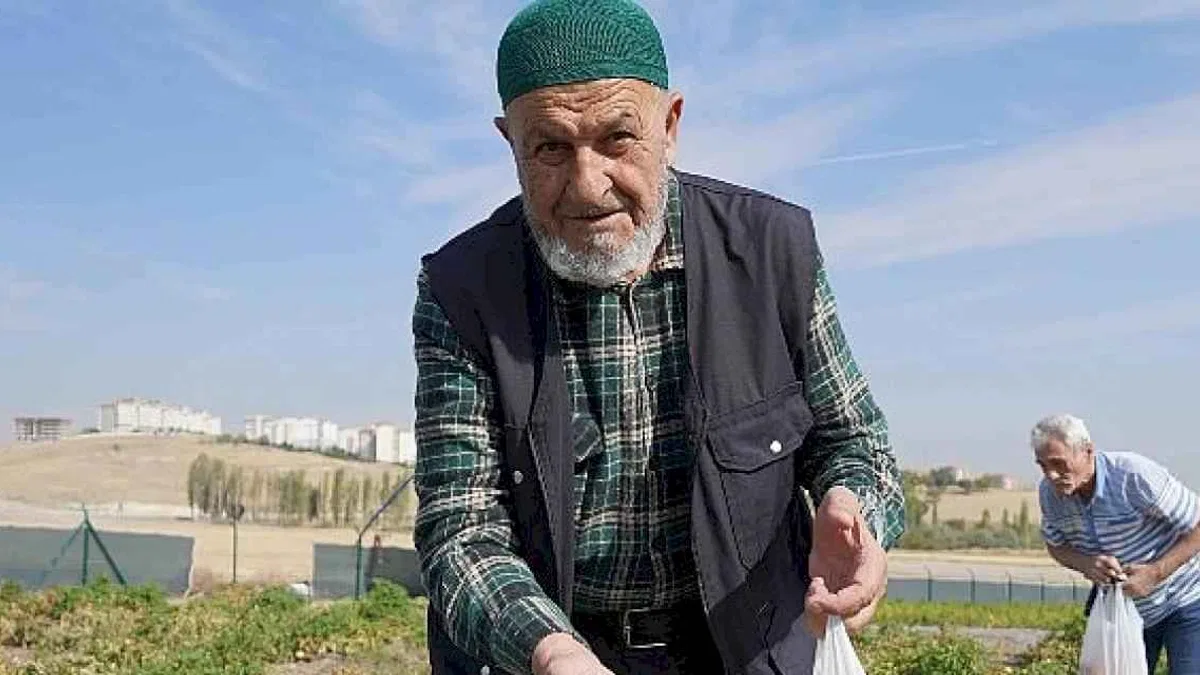 Bostanın Son Hasadı Huzurevi Sakinlerinden