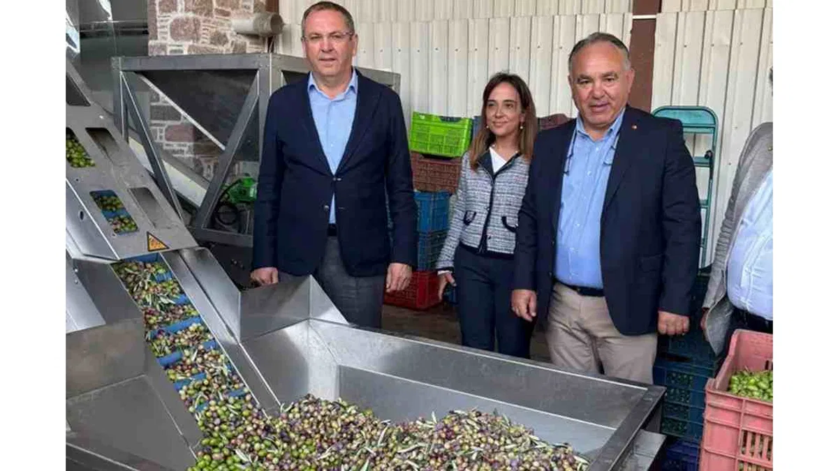 Zeytinyağı ihracatında en büyük sorun markasızlık