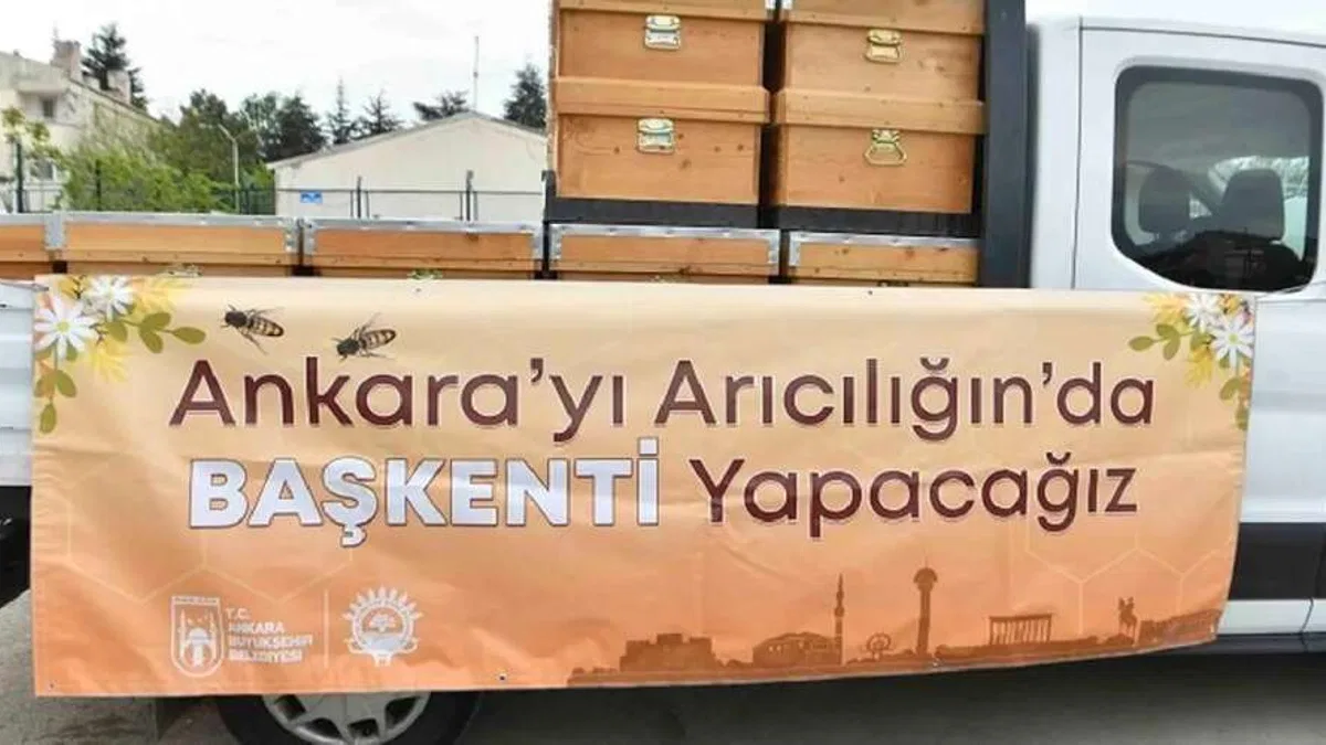 Ankara Büyükşehir'den arıcılara kovan desteği