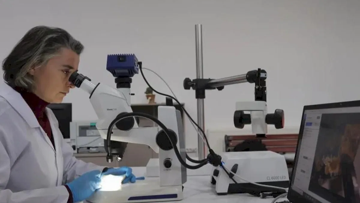 Kayseri Büyükşehir konservasyon laboratuarı kurdu