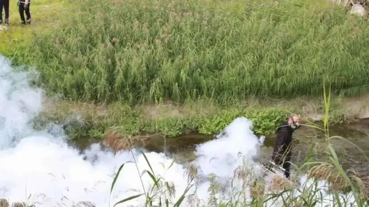 Kocaeli'de sinekle mücadele dört mevsim hız kesmiyor