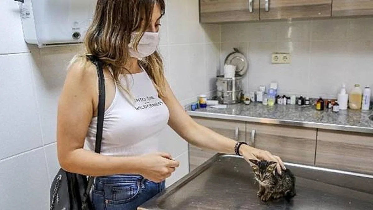 Buca'da Can Dostları için Seferberlik Başlatıldı