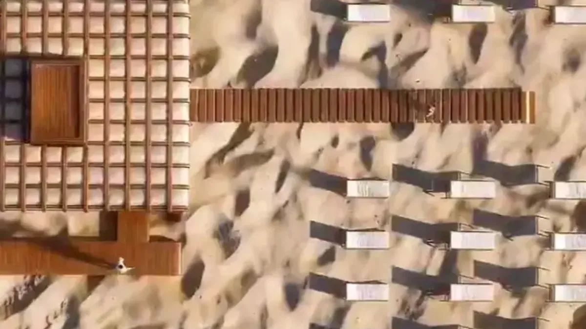 Ücretsiz halk plajlarında yeni sezon hazırlığı... Sayı 23’e çıkacak