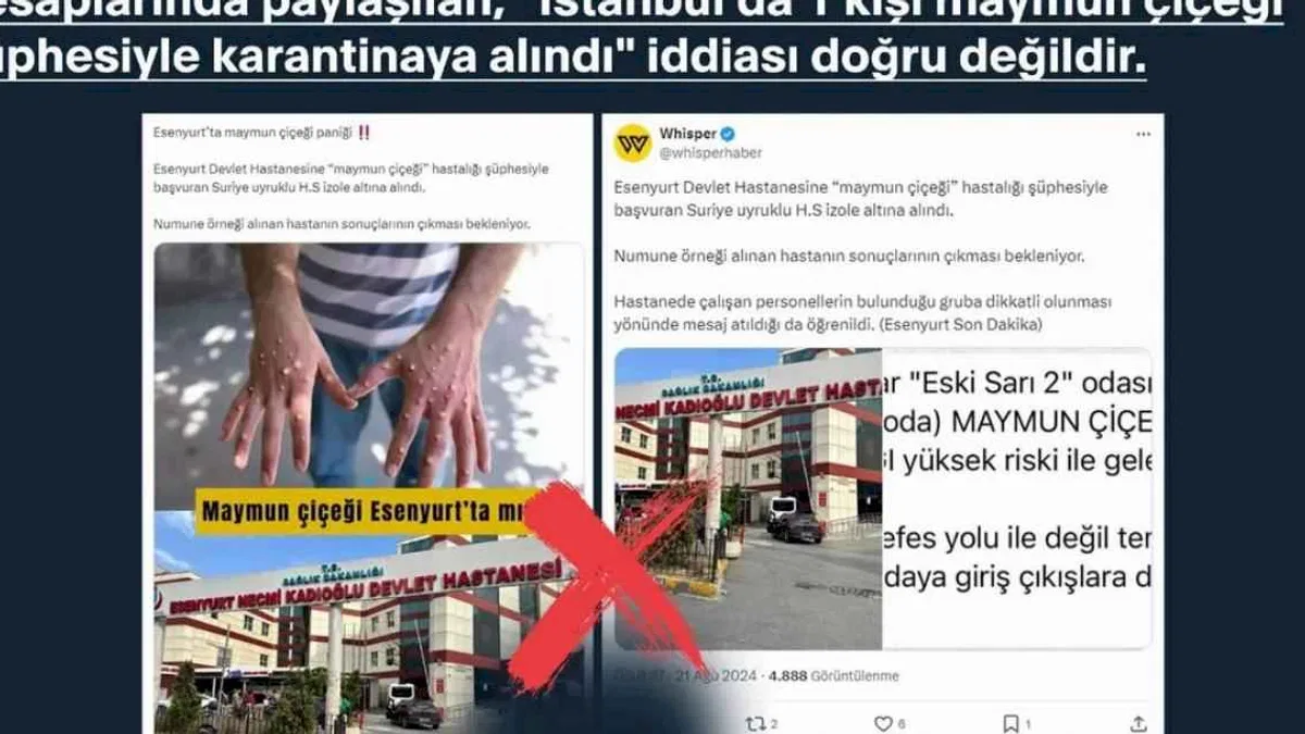 'Maymun Çiçeği'nin Türkiye iddiaları dezenformasyondan ibaret