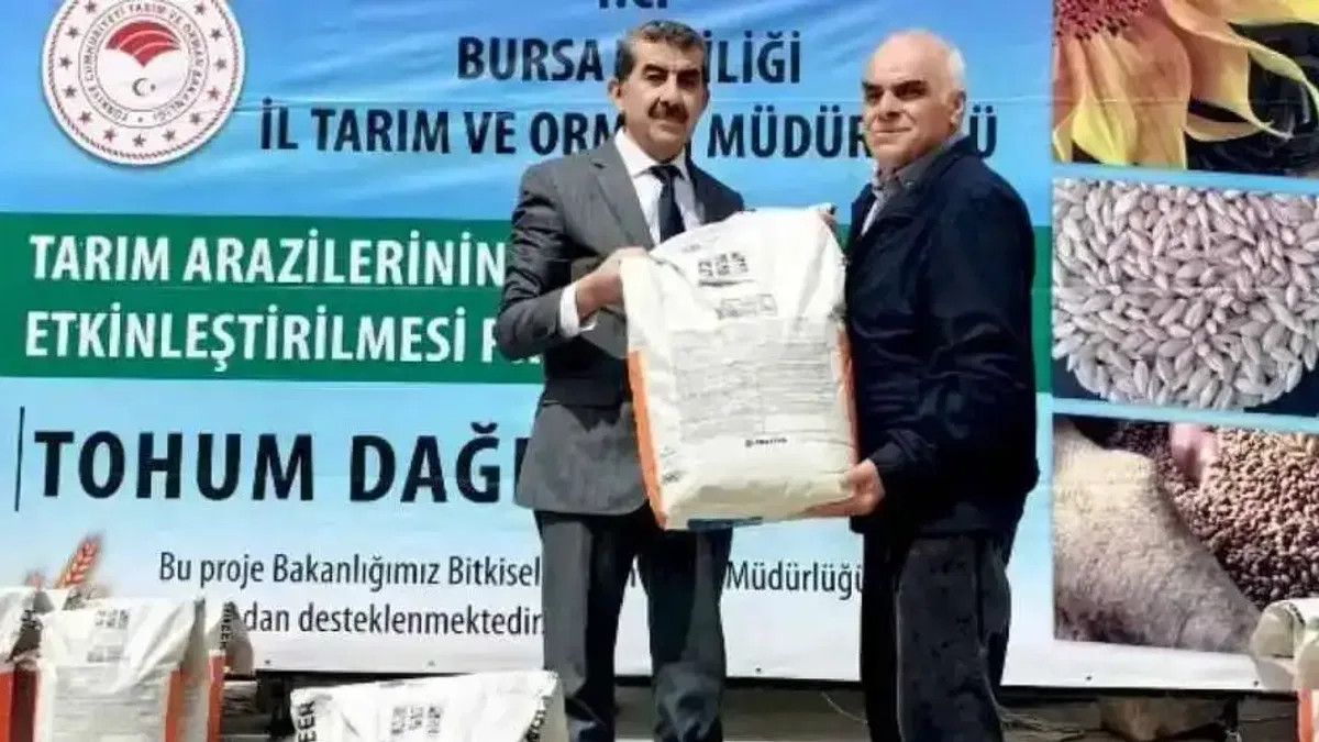 Bursa'da İrfaniyeli üreticilere ayçiçeği tohumu desteği
