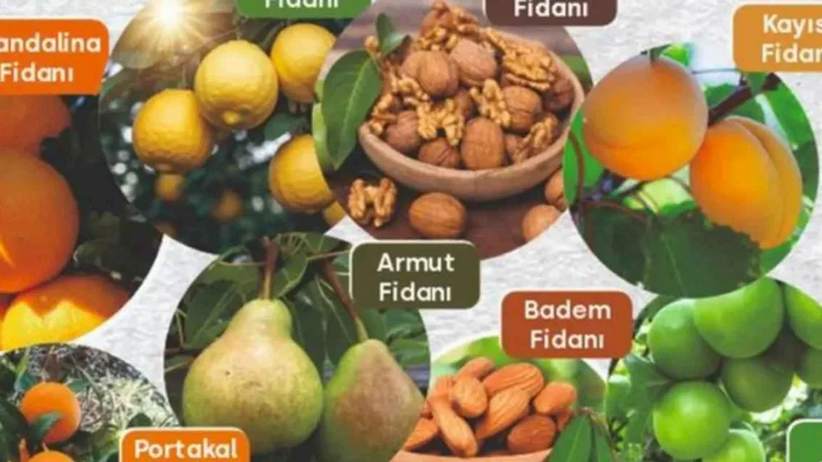 Muğla'da Milas Belediyesi tarımsal desteklemelerini sürdürüyor